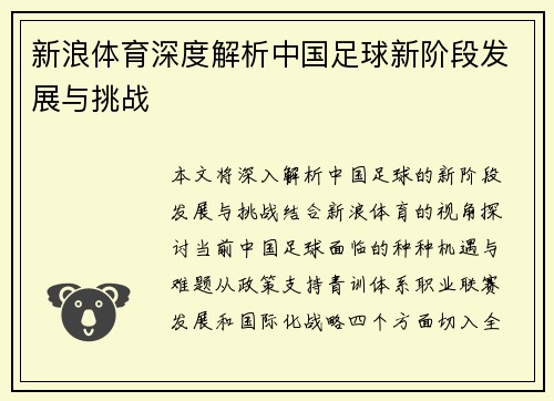 新浪体育深度解析中国足球新阶段发展与挑战